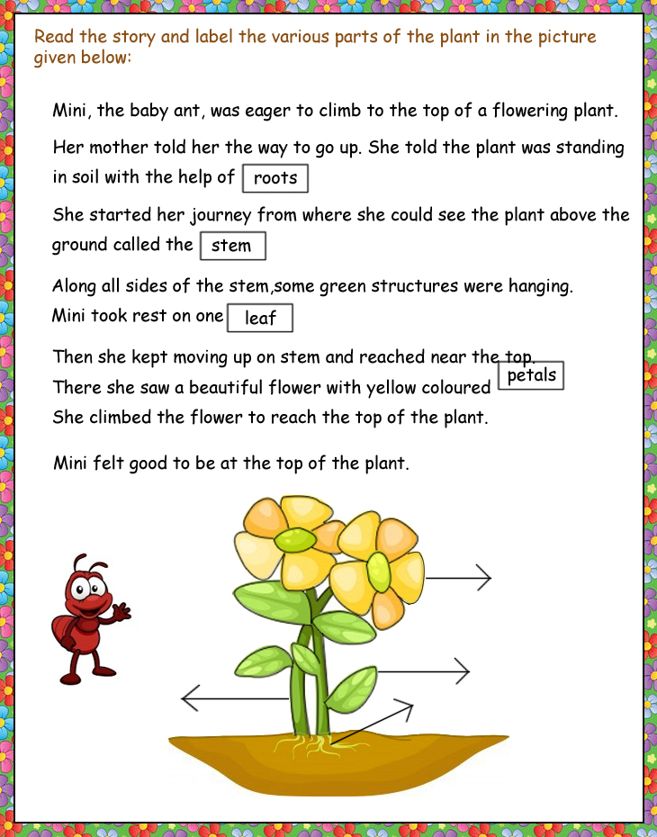 plant printable books for kindergarten EVS Science Upper for CBSE ICSE worksheets Beginners KG